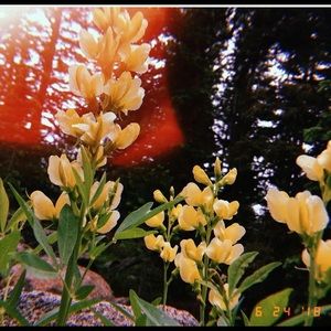 Meet your Posher, Mara